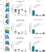 CD43 Antibody in Flow Cytometry (Flow)