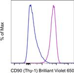CD90 (Thy-1) Monoclonal Antibody (eBio5E10 (5E10)), Brilliant Violet™ 650, eBioscience™