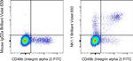 NK1.1 Antibody in Flow Cytometry (Flow)