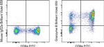 Granzyme B Antibody in Flow Cytometry (Flow)