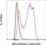 IRF4 Monoclonal Antibody (3E4), Brilliant Violet™ 650, eBioscience™