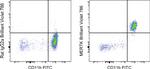 MERTK Monoclonal Antibody (DS5MMER), Brilliant Violet™ 786, eBioscience™
