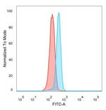 MEIS2 (Transcription Factor) Antibody in Flow Cytometry (Flow)