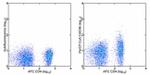 CD25 Monoclonal Antibody (BC96), PerCP-Cyanine5.5, eBioscience™
