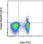 FOXP3 Monoclonal Antibody (PCH101), PerCP-Cyanine5.5, eBioscience™
