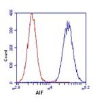 AIF Antibody in Flow Cytometry (Flow)