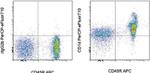 CD1d Monoclonal Antibody (1B1), PerCP-eFluor™ 710, eBioscience™