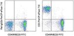 CD3 Monoclonal Antibody (17A2), PerCP-eFluor™ 710, eBioscience™