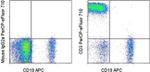 CD3 Monoclonal Antibody (OKT3), PerCP-eFluor™ 710, eBioscience™