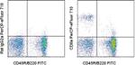 CD8a Monoclonal Antibody (53-6.7), PerCP-eFluor™ 710, eBioscience™