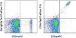 CD8b Monoclonal Antibody (eBioH35-17.2 (H35-17.2)), PerCP-eFluor™ 710, eBioscience™