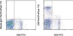 CD8a Monoclonal Antibody (OX8), PerCP-eFluor™ 710, eBioscience™