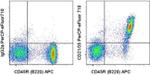 CD21/CD35 Monoclonal Antibody (eBio4E3 (4E3)), PerCP-eFluor™ 710, eBioscience™