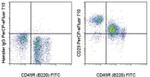 CD29 (Integrin beta 1) Monoclonal Antibody (eBioHMb1-1 (HMb1-1)), PerCP-eFluor™ 710, eBioscience™