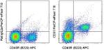 CD31 (PECAM-1) Monoclonal Antibody (390), PerCP-eFluor™ 710, eBioscience™