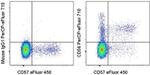 CD56 (NCAM) Monoclonal Antibody (CMSSB), PerCP-eFluor™ 710, eBioscience™