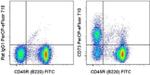 CD73 Monoclonal Antibody (eBioTY/11.8 (TY/11.8)), PerCP-eFluor™ 710, eBioscience™