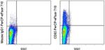 CD83 Monoclonal Antibody (HB15e), PerCP-eFluor™ 710, eBioscience™