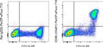 CD88 (C5aR1) Monoclonal Antibody (20/70), PerCP-eFluor™ 710, eBioscience™