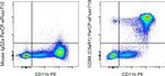 CD88 (C5aR1) Monoclonal Antibody (S5/1), PerCP-eFluor™ 710, eBioscience™