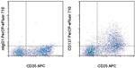 CD137 (4-1BB) Monoclonal Antibody (4B4 (4B4-1)), PerCP-eFluor™ 710, eBioscience™