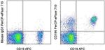 CD196 (CCR6) Monoclonal Antibody (R6H1), PerCP-eFluor™ 710, eBioscience™