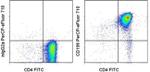 CD199 (CCR9) Monoclonal Antibody (eBioCW-1.2 (CW-1.2)), PerCP-eFluor™ 710, eBioscience™