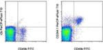 CD244.1 Monoclonal Antibody (C9.1), PerCP-eFluor™ 710, eBioscience™