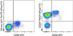 CD247 (CD3 zeta) Monoclonal Antibody (6B10.2), PerCP-eFluor™ 710, eBioscience™