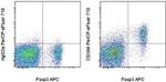 CD304 (Neuropilin-1) Monoclonal Antibody (3DS304M), PerCP-eFluor™ 710, eBioscience™