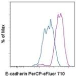 CD324 (E-Cadherin) Monoclonal Antibody (DECMA-1), PerCP-eFluor™ 710, eBioscience™