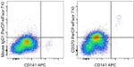 CD370 (Clec9A) Monoclonal Antibody (9A11), PerCP-eFluor™ 710, eBioscience™