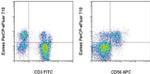 EOMES Monoclonal Antibody (WD1928), PerCP-eFluor™ 710, eBioscience™