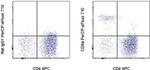 CD8a Antibody in Flow Cytometry (Flow)