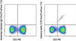 TCR gamma/delta Monoclonal Antibody (eBioGL3 (GL-3, GL3)), PerCP-eFluor™ 710, eBioscience™