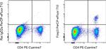 FOXP3 Monoclonal Antibody (FJK-16s), PerCP-eFluor™ 710, eBioscience™