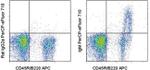 Mouse IgM Monoclonal Antibody (II/41), PerCP-eFluor™ 710, eBioscience™