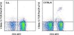 TCR V beta 13 Monoclonal Antibody (MR12-3), PerCP-eFluor™ 710, eBioscience™