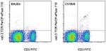 TCR V alpha 3.2 Antibody in Flow Cytometry (Flow)