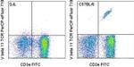 TCR V beta 11 Monoclonal Antibody (RR3-15), PerCP-eFluor™ 710, eBioscience™