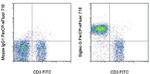Siglec-G Monoclonal Antibody (SH2.1), PerCP-eFluor™ 710, eBioscience™