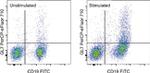 GL7 Monoclonal Antibody (GL-7 (GL7)), PerCP-eFluor™ 710, eBioscience™