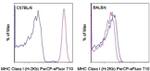 MHC Class I (H-2Kb) Monoclonal Antibody (AF6-88.5.5.3), PerCP-eFluor™ 710, eBioscience™