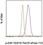 Phospho-ZAP70/Syk (Tyr319, Tyr352) Monoclonal Antibody (n3kobu5), PerCP-eFluor™ 710, eBioscience™