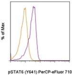 Phospho-STAT6 (Tyr641) Monoclonal Antibody (CHI2S4N), PerCP-eFluor™ 710, eBioscience™