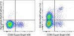 CD186 (CXCR6) Monoclonal Antibody (DANID2), PerCP-eFluor™ 710, eBioscience™