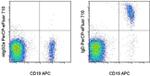 Human IgD Antibody in Flow Cytometry (Flow)