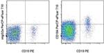 CD184 (CXCR4) Monoclonal Antibody (12G5), PerCP-eFluor™ 710, eBioscience™