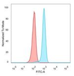 MYCN Antibody in Flow Cytometry (Flow)