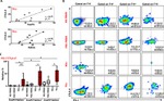 CD152 (CTLA-4) Antibody in Flow Cytometry (Flow)